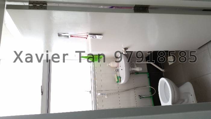 NORTHSTAR @ AMK (D20), Office #45620692